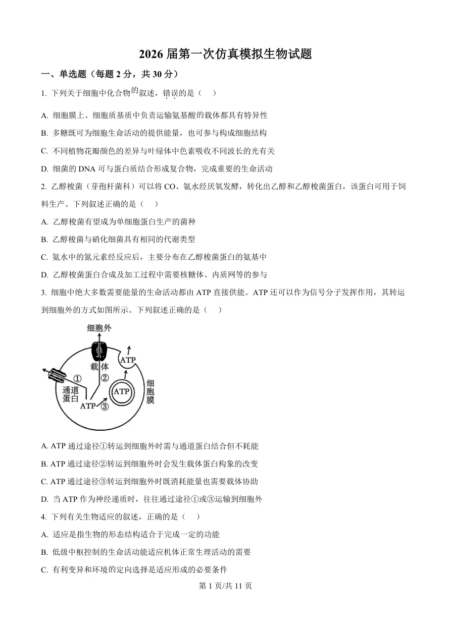 江苏省南京六合区名校联盟2026届高三3月一模生物试题（共11页）