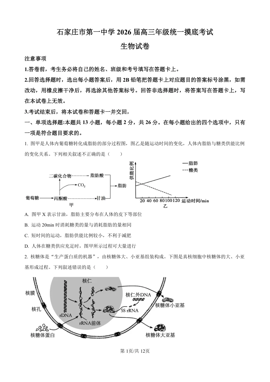 河北省石家庄市第一中学2025-2026学年高三上学期9月摸底考试生物试题（共12页）