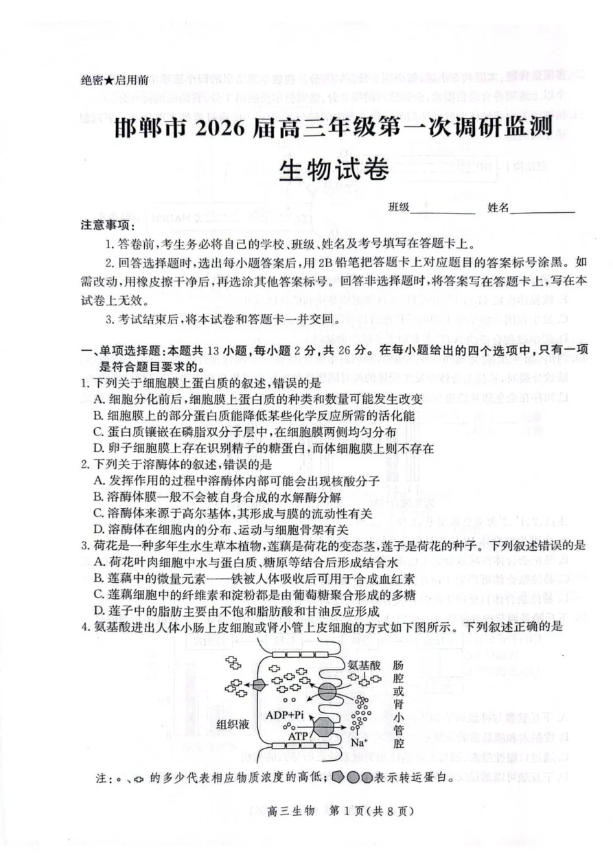 河北省邯郸市2025-2026学年高三上学期第一次调研监测生物试卷（共8页）