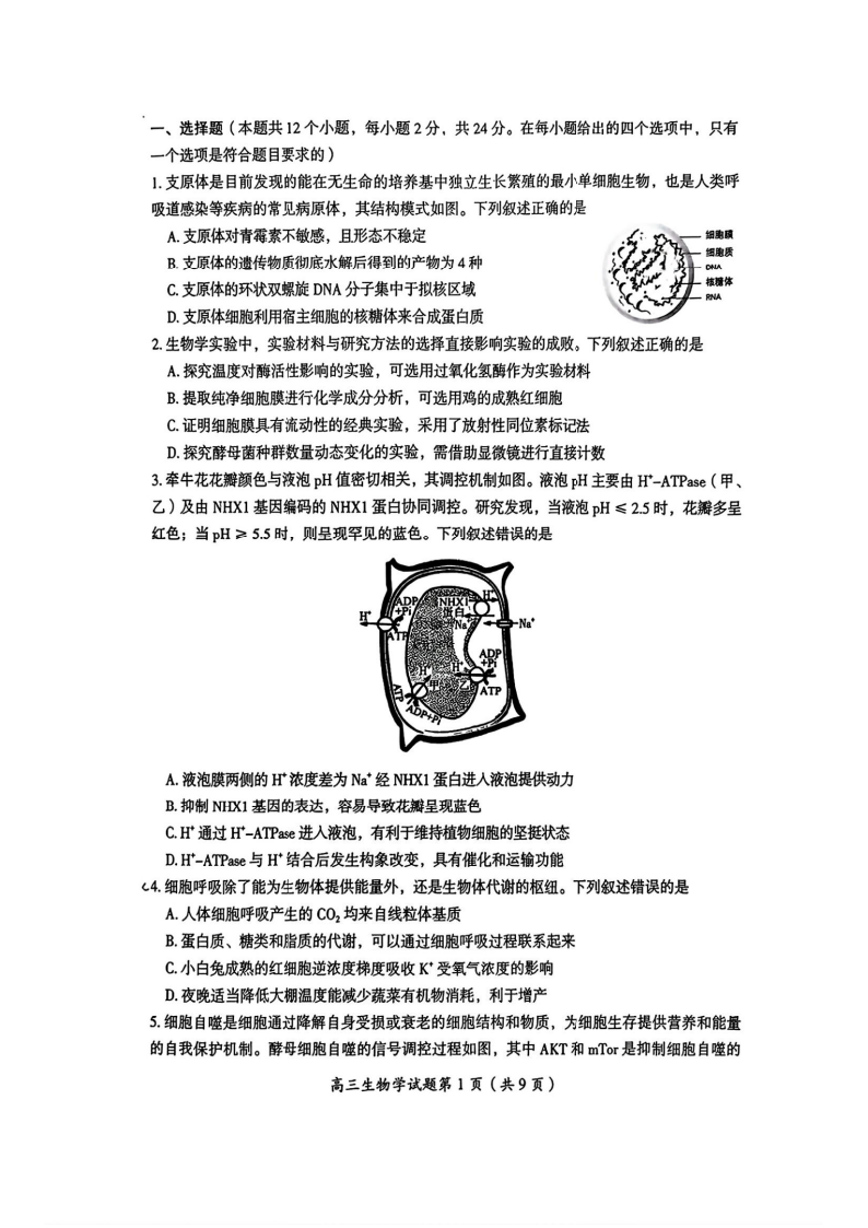 湖南省郴州市2026届高三10月一模生物试题（共15页）