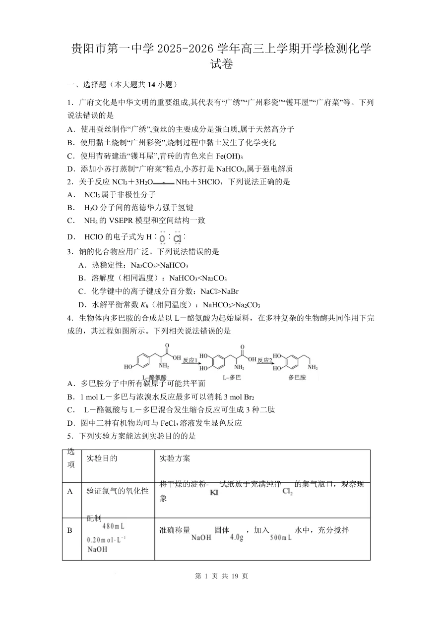贵州省贵阳市第一中学2026届高三上学期9月开学考试化学试卷（共19页）